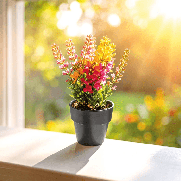 CK-2025 Bitki Yetiştirme Seti