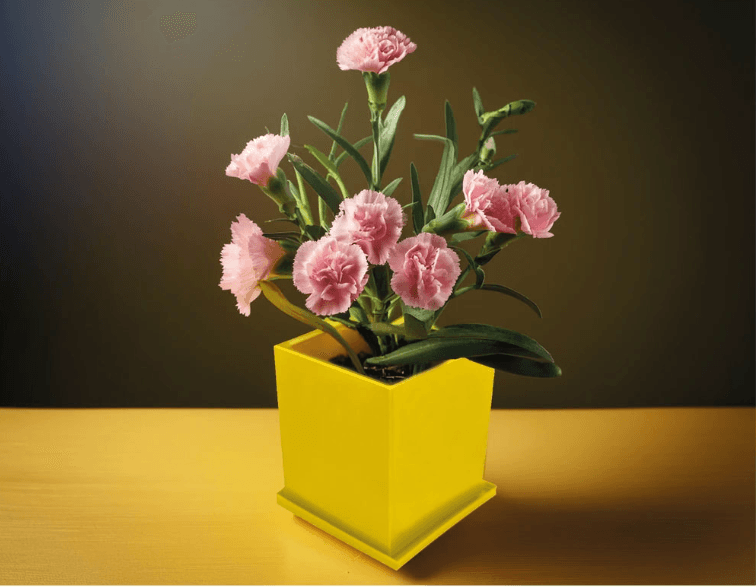 CK-2035 Kapaklı Bitki Dikim Seti