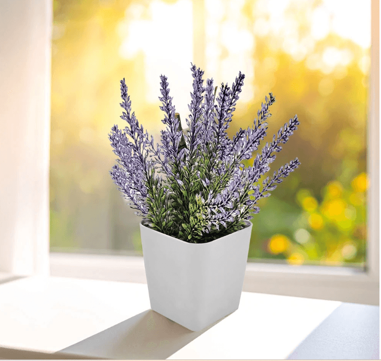 CK-2015 Bitki Yetiştirme Seti